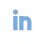 linkedin Icon